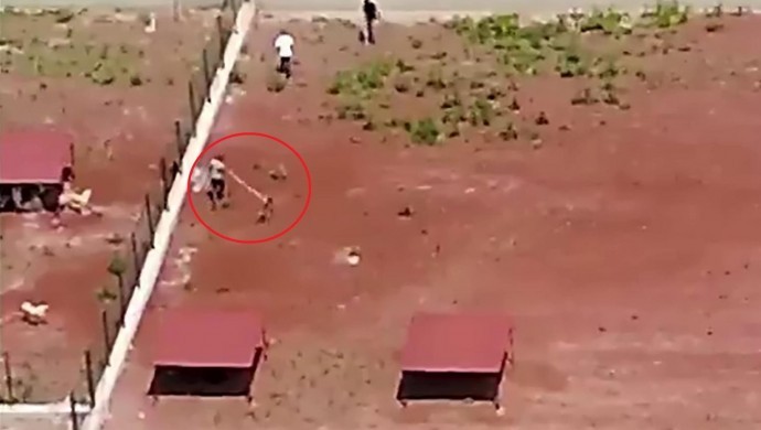 Kars Belediyesi hayvan barınağında şiddet skandalı: Personel hakkında soruşturma başlatıldı