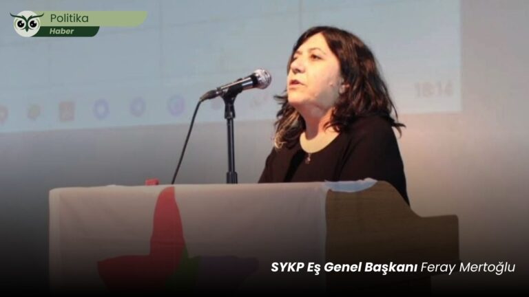 Mertoğlu: Kürtlerin kolektif haklarını tanımak demokratik çözümün önünü açar