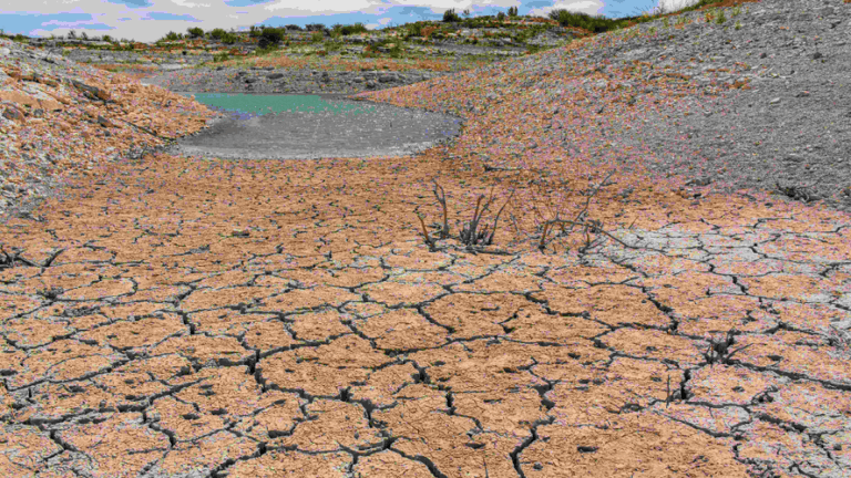 Türkiye’de 240 gölün 186’sı kurudu…