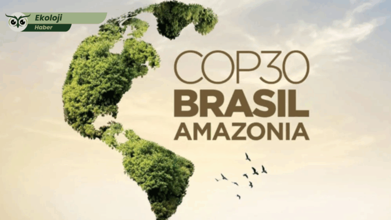 Belem’de iklim zirvesi: Halkların hukuku ile resmî hukukun ayrıştığı dönüm noktası