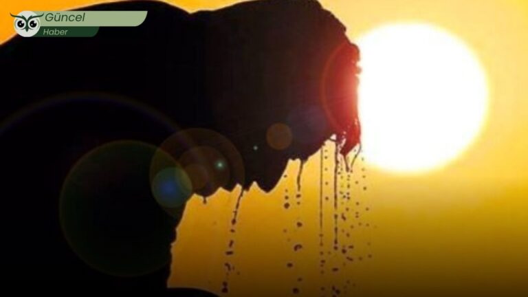 WMO’dan küresel iklim raporu: 2025, kayıtlardaki en sıcak üç yıldan biri olabilir