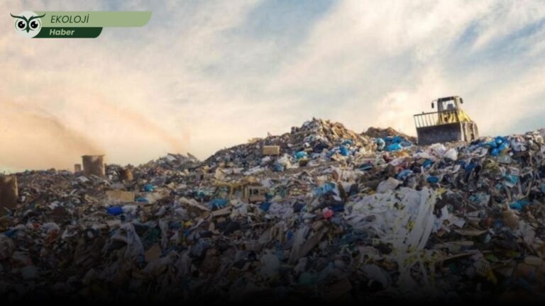 Plastik bağımlılığı büyüyor, gezegen daralıyor