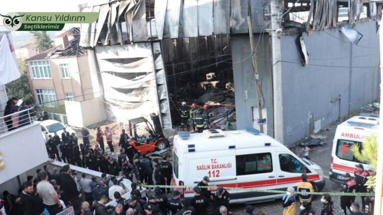 Türkiye işçi mezarlığı: İş cinayeti rejiminin oluşumu