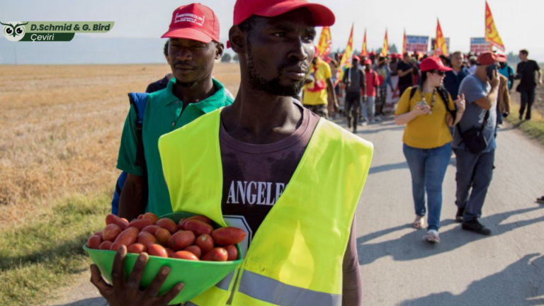 Misafir işçi programları işgücü sömürüsünün aracıdır