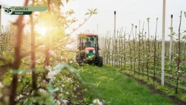 Pestisitlere dijital takip: Denetim mi, gecikmiş bir vitrin düzenlemesi mi?