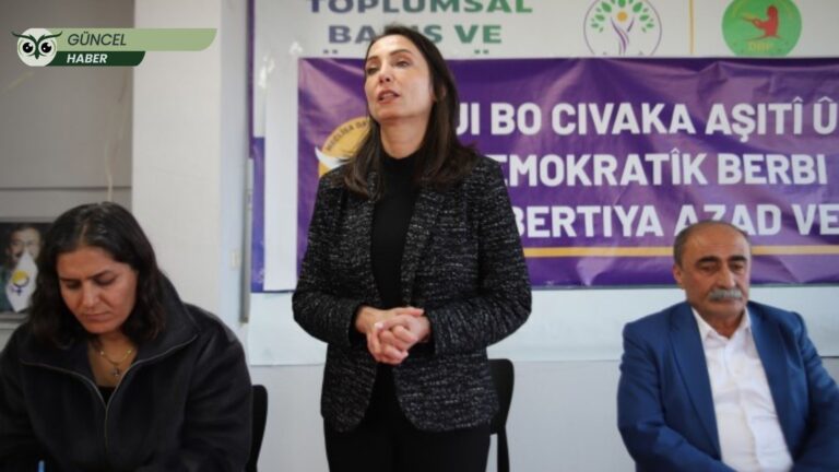 Tülay Hatimoğulları: Kürt meselesinin çözümü yasal ve hukuki zemine taşınmalı