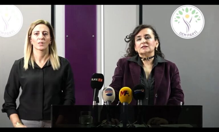 DEM Parti Engelliler Komisyonu: “Masalsı kutlamalara değil, onurlu bir yaşam mücadelesine ihtiyacımız var