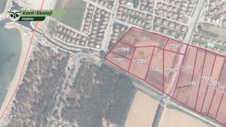 Kuşadası’nda tarım alanları ranta açılyor: 93 Bin metrekarelik araziye yapılaşma yolu