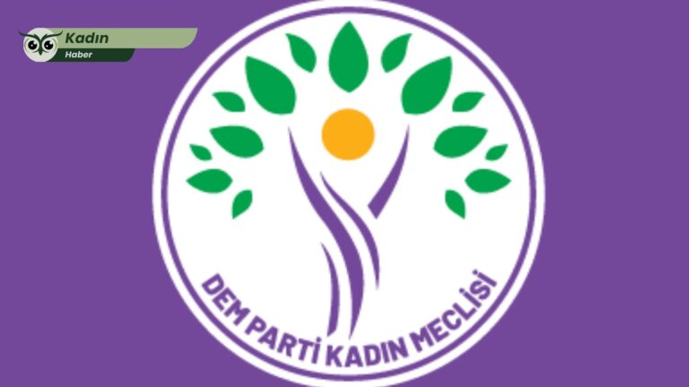 DEM Parti’den kadın cinayetleri için genel görüşme talebi: “Kadınların yaşam hakkı sistematik olarak korunmuyor”