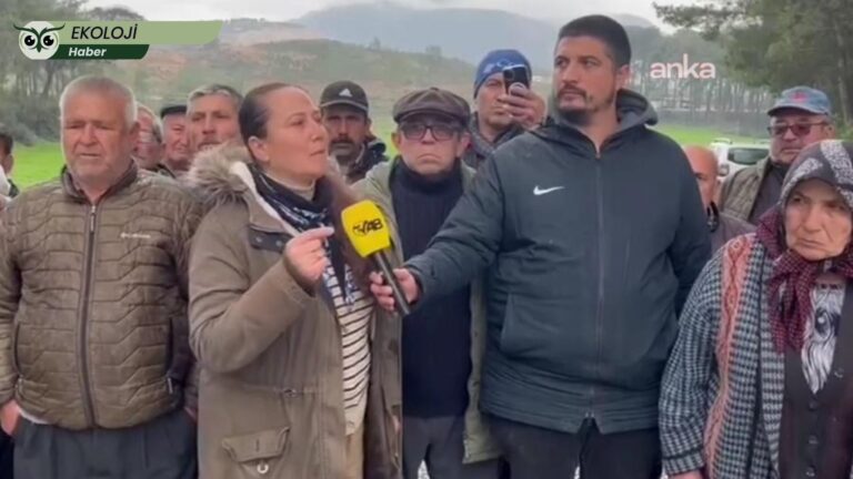 Esra Işık’ın tutuklanmasının ardından Akbelen’de nöbet çağrısı