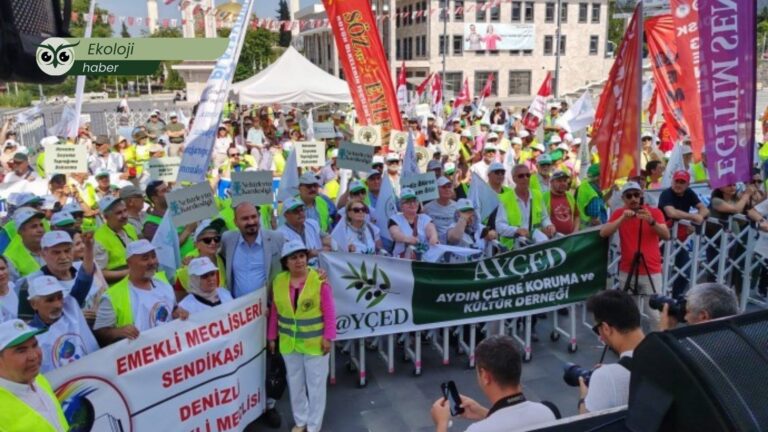 Manisa’da “Nehirlerin Kardeşliği” mitingi: “Gediz özgür akacak, su yaşamdır satılamaz”
