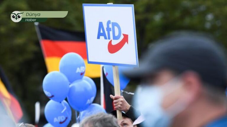 Almanya’da aşırı sağ tehdidi: Irkçı ve protofaşist AfD’nin yükselişi demokratik rejimi tehdit ediyor