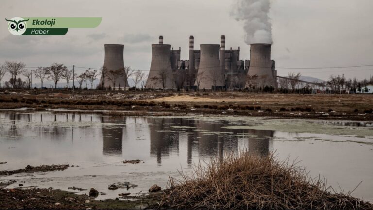 “Ticari sır” barikatı yıkıldı: Greenpeace Türkiye’nin çevre ve halk sağlığı için kazandığı emniyet içtihatları kamu kurumlarının duvarına çarpıyor