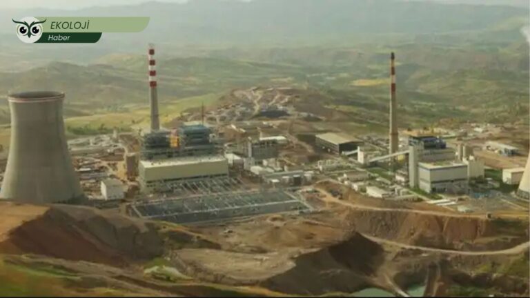 Silopi’de termik santral tehlikesi: “Yaklaşık 4 bin kanser hastası var, Hezil Suyu ve toprak zehirleniyor”