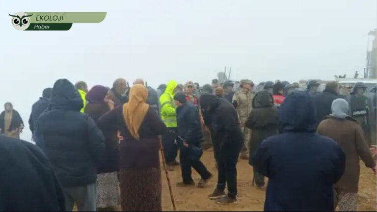 Turnalık Yaylası’nda maden direnişine jandarma müdahalesi: 90 yaşındaki yurttaş ve 5 çocuk dahil 20 gözaltı
