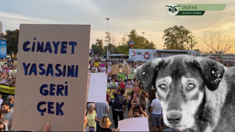 Katliam Yasası’nın 2. yılı