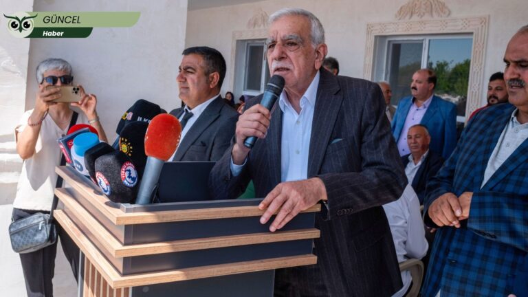 Mardin’de irade gaspı sürüyor: Kayyımın görev süresi 2 ay daha uzatıldı